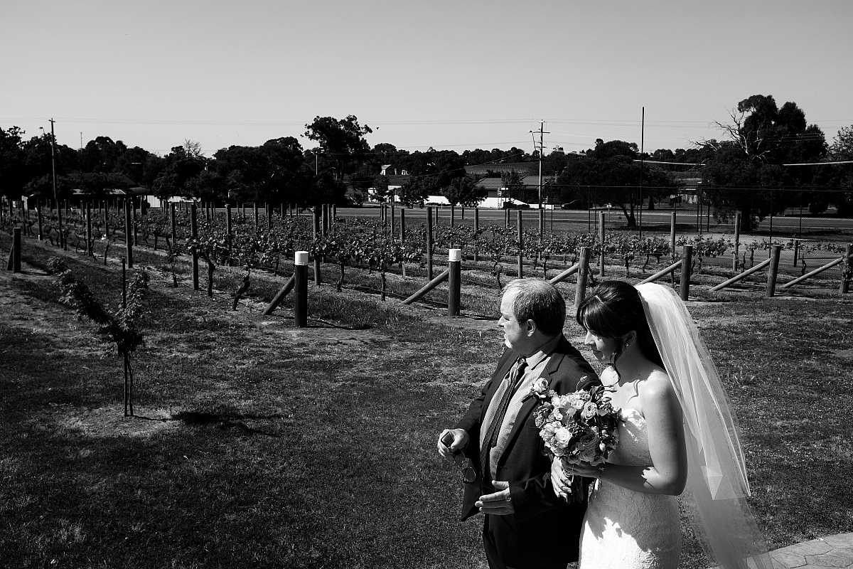 Natasha and David's at De Bortoli Wines | Rutherglen Wedding Photographers  | 00176.jpg