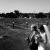 Natasha and David's at De Bortoli Wines | Rutherglen Wedding Photographers  | 00176.jpg