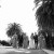 Natasha and David's at De Bortoli Wines | Rutherglen Wedding Photographers  | 00374.jpg