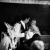 Cherie & Nicholas Gypsy Gardens Wedding | Albury Wedding Photographers  | 00743.jpg
