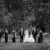 Sheridan & Adam's Wedding at The Boat Shed Lake Hume | Albury Wedding Photographers  | 00525.jpg