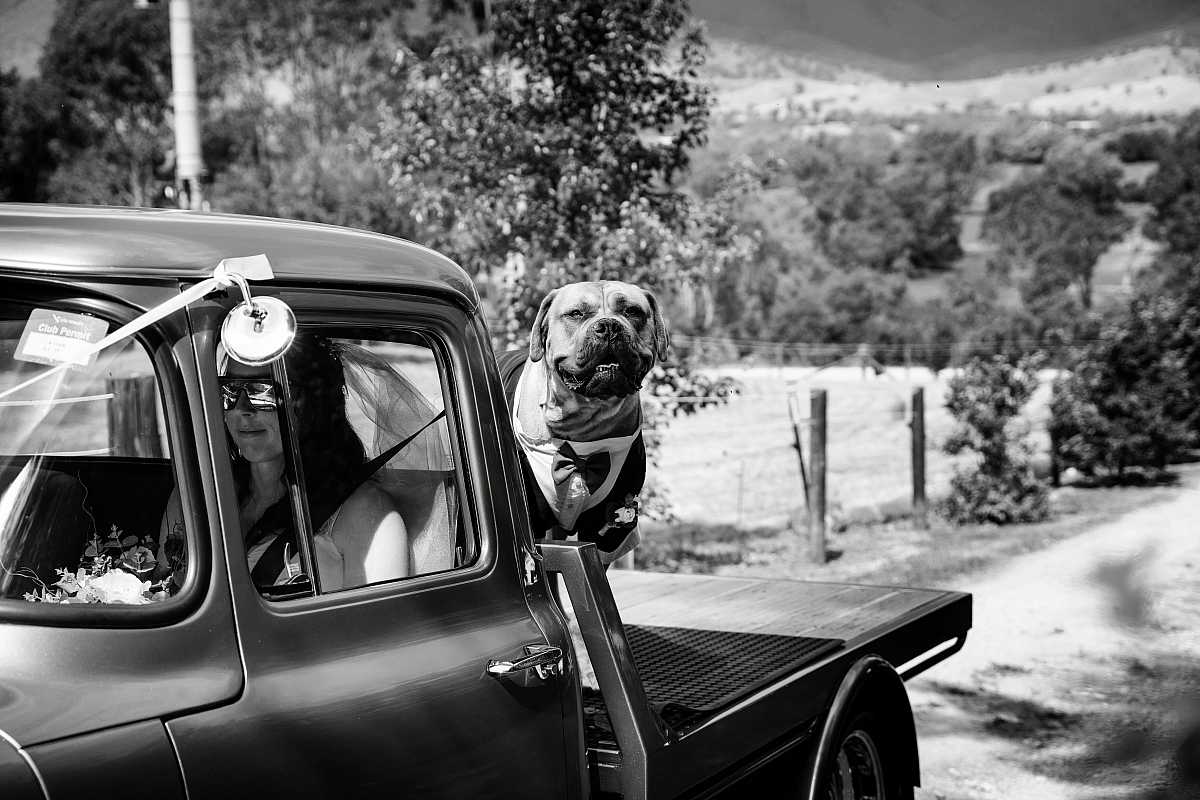 Jemma & Belamy's Wedding at Beneagle Farm | Yackandandah wedding photographers | DSC08934.jpg