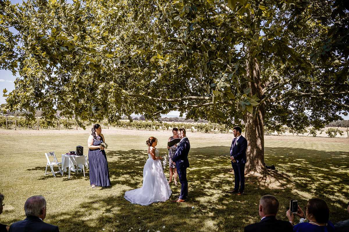 Joanna and Scott's Wedding at Brown Brothers Winery Milawa  | Milawa Wedding Photographers | 00360.jpg
