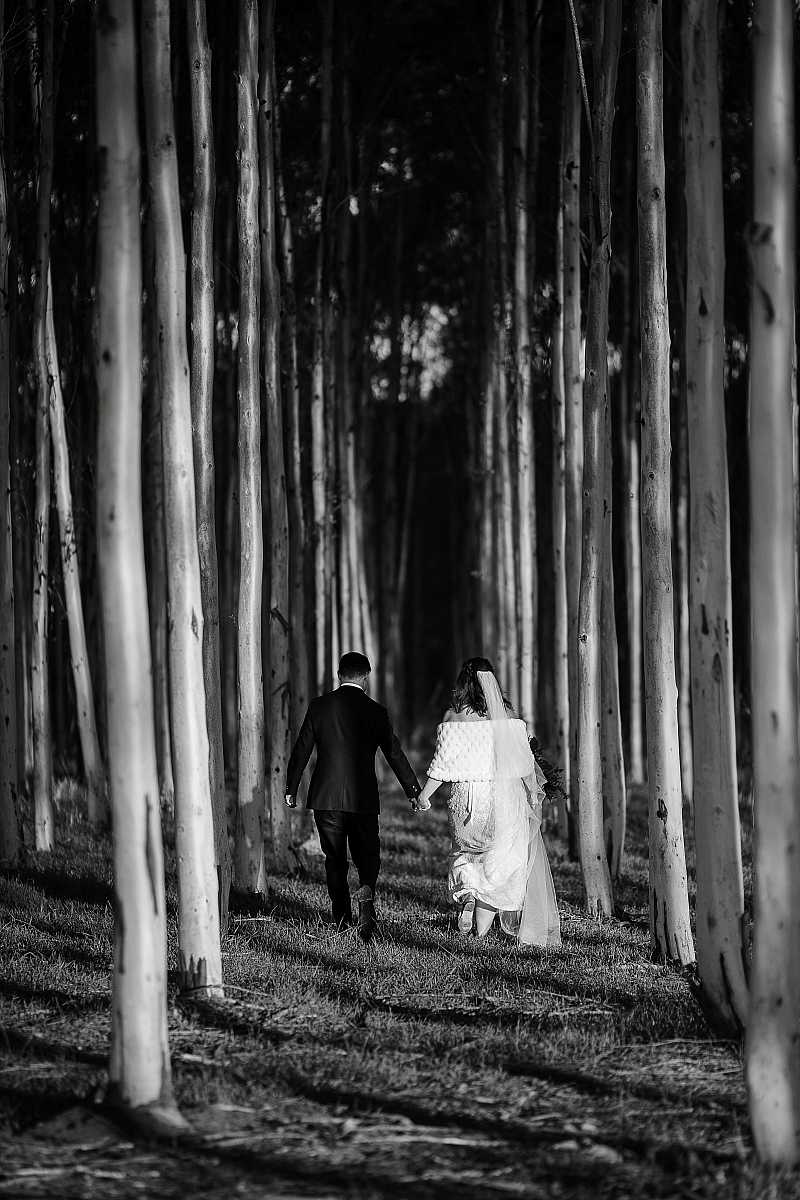Miranda and James's Wedding at Brown Brothers Winery, Milawa  | Milawa Wedding Photographers | 00621.jpg