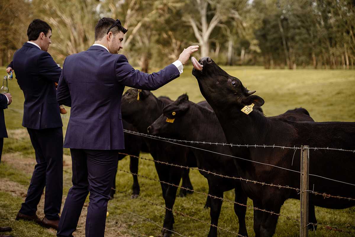 Ebony and James's  Wedding at Remel 185  | Whorouly wedding Photographers  | 00879.jpg