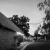 Jessica & Ryan's Brown Brothers Winery Wedding   | Milawa Wedding Photographers | 00893.jpg