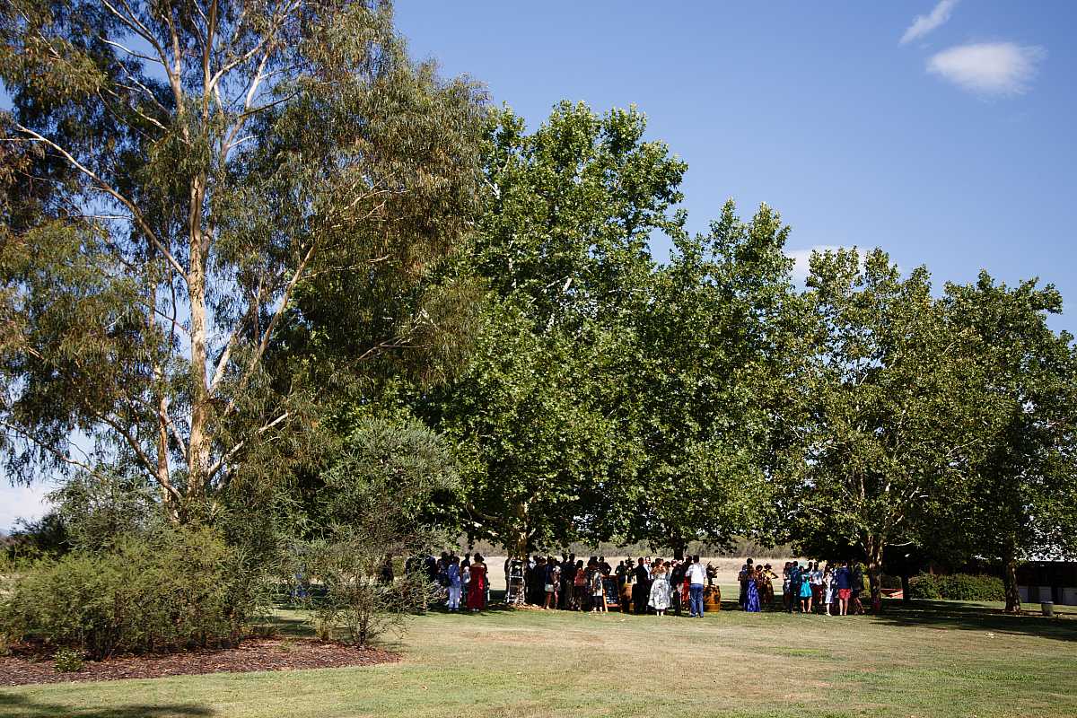 Beth and Josh's Wedding at Brown Brothers Winery Milawa  | Milawa Wedding Photographers | 00281.jpg