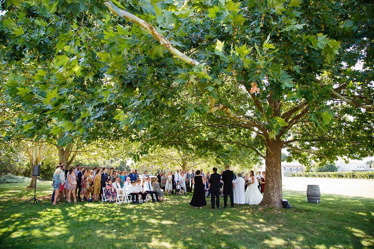 Beth and Josh's Wedding at Brown Brothers Winery Milawa  | Milawa Wedding Photographers | 00342.jpg
