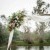 Bron and Joel's wedding at Noreuil Park Albury | Albury Wedding Photographers  | 00236.jpg