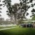 Bron and Joel's wedding at Noreuil Park Albury | Albury Wedding Photographers  | 00244.jpg