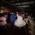 Jo & Fraser’s Wedding at The Wool Press | Granya Wedding Photographers | 00990.jpg
