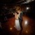 Tracy and Greg's Wedding at the Manor House  | Albury Wedding Photographers  | 01057.jpg