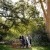 Tracy and Greg's Wedding at the Manor House  | Albury Wedding Photographers  | 00592.jpg