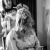 Sarah and Linden's Wedding at Oxley, Victoria | Wangaratta Wedding Photographers | 00001.jpg