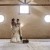 Amy & Morgan’s Wedding at Mt Ophir | Rutherglen Wedding Photographers  | 00582.jpg