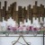 Fleur & Daniel’s Wedding at De Bortoli Wines | Rutherglen Wedding Photographers  | 00896.jpg