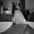 Stephanie and Matthew's wedding at Sandy Creek Victoria | Albury Wedding Photographers  | 01025.jpg