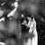 Kiz & Div’s Wedding at Adamshurst | Albury Wedding Photographers  | 00270.jpg