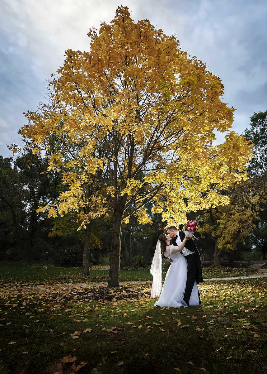 Laura & Lachlan’s Wedding at The Tree Chapple | Wagga Wagga  Wedding Photographers | 00823v.jpg
