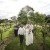 Brigida & Todd’s Wedding at Remel 185 | Whorouly Wedding Photographers  | 00623.jpg