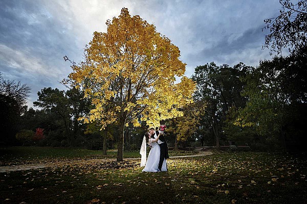 Laura & Lachlan’s Wedding at The Tree Chapple | Wagga Wagga  Wedding Photographers