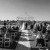 De Bortoli Rutherglen Wedding Venue – A Timeless Winery Wedding Location | 00299.jpg