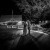 Brown Brothers Milawa Wedding Venue – A Complete Guide for Couples Planning a Winery Wedding | 00812.jpg
